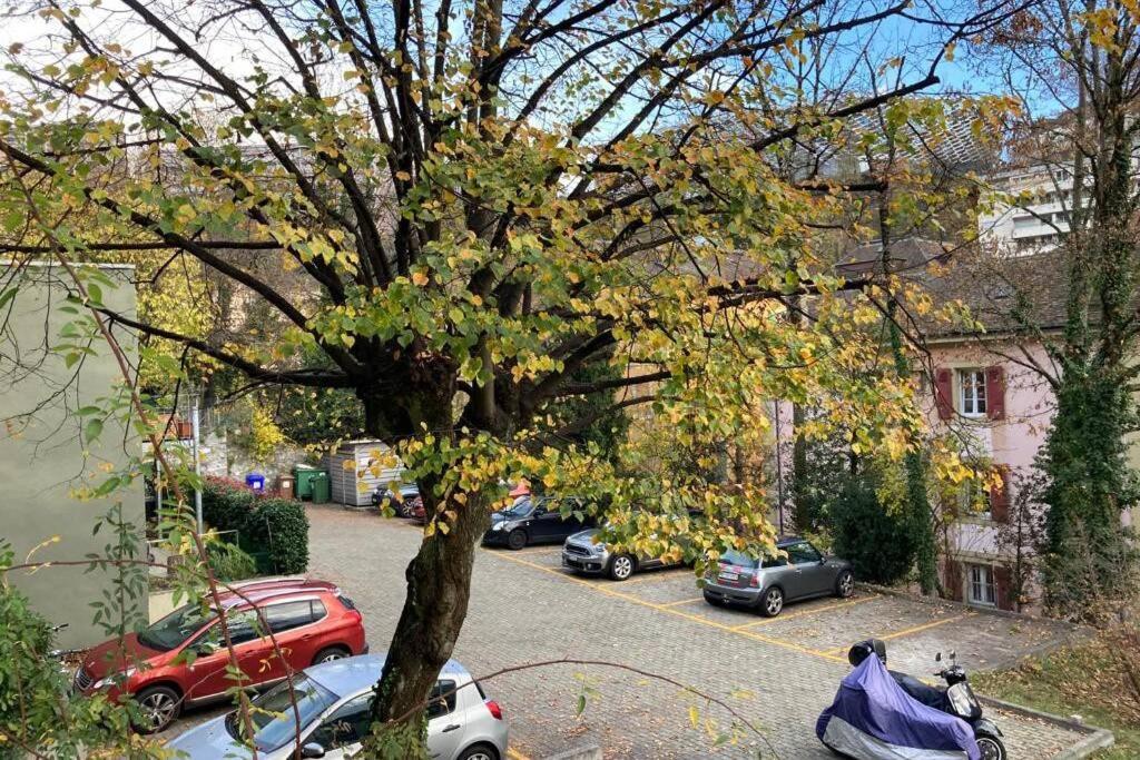 Parking & Appartement 2 Pieces Sans Traffic Lausanne Exterior photo